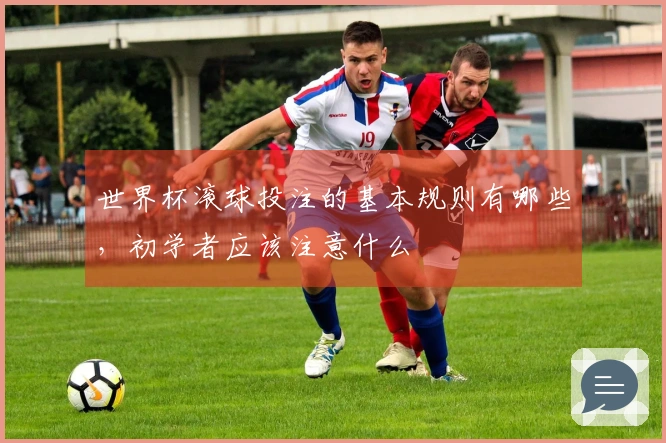 世界杯滚球投注的基本规则有哪些，初学者应该注意什么