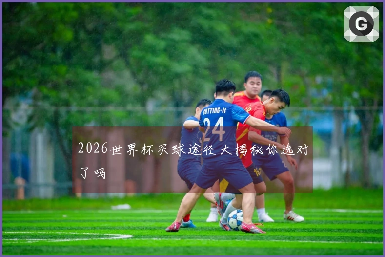2026世界杯买球途径大揭秘你选对了吗
