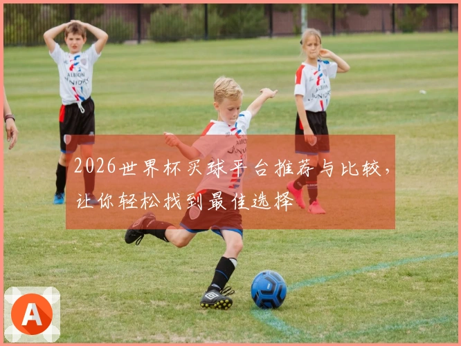 2026世界杯买球平台推荐与比较，让你轻松找到最佳选择