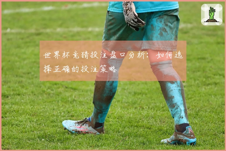 世界杯竞猜投注盘口分析：如何选择正确的投注策略