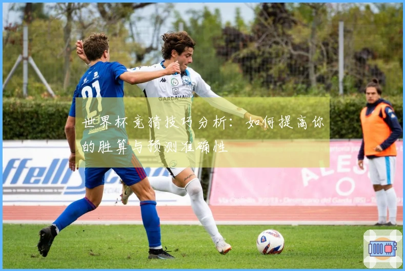 世界杯竞猜技巧分析：如何提高你的胜算与预测准确性