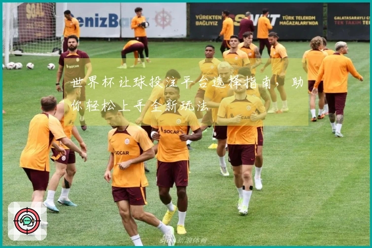 世界杯让球投注平台选择指南，助你轻松上手全新玩法