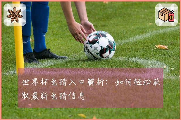 世界杯竞猜入口解析：如何轻松获取最新竞猜信息