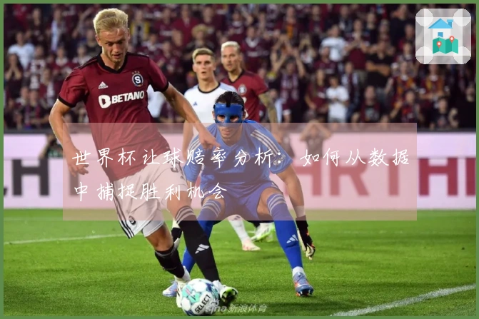 世界杯让球赔率分析：如何从数据中捕捉胜利机会